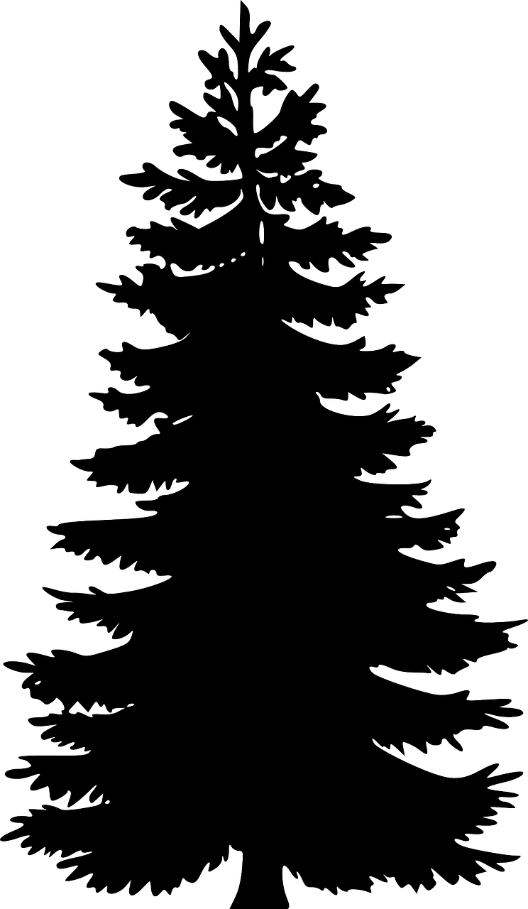 Icon of Pine Tree